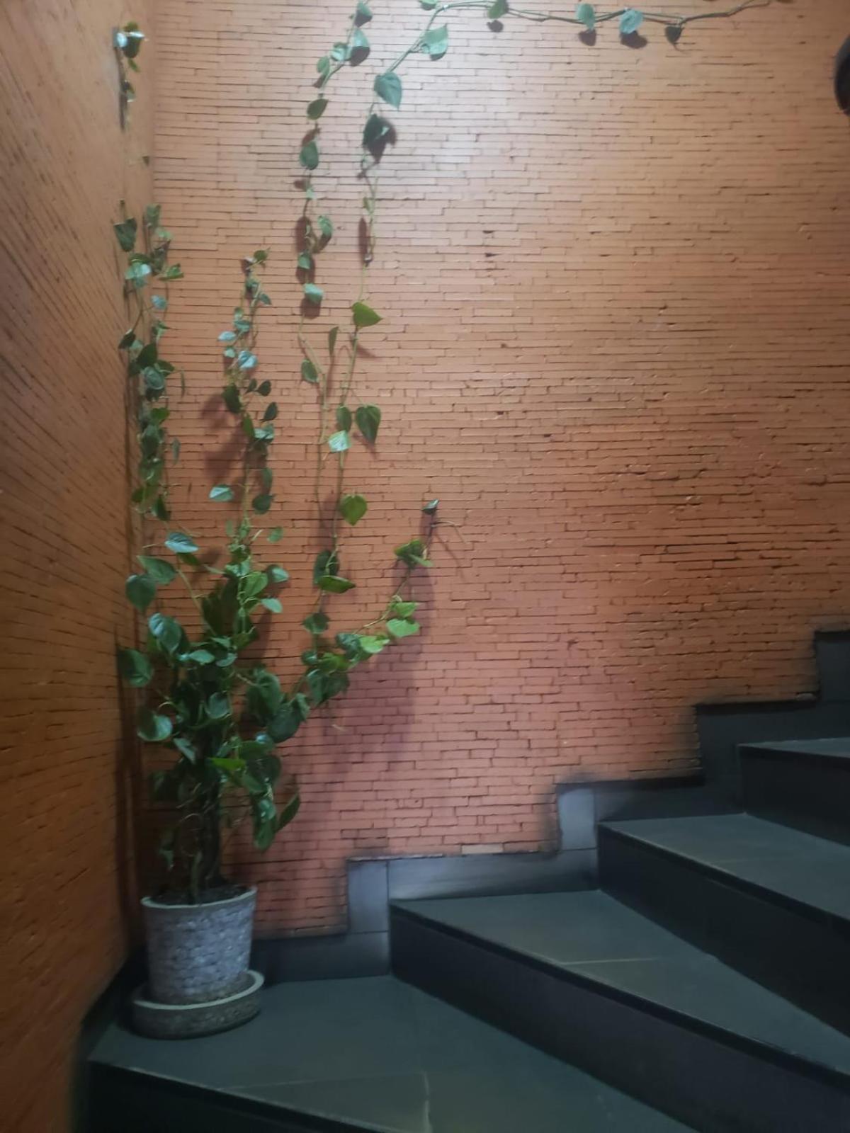 Sole Hotel Antananarivo Kültér fotó